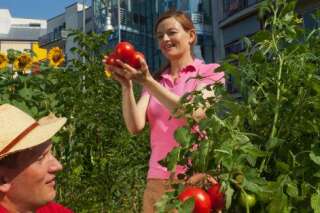 10 bonnes raisons de cultiver des fruits et des légumes en ville