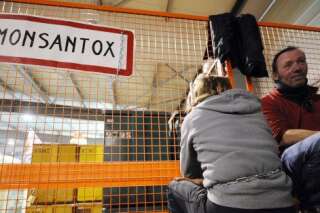 Des anti-OGM délogés d'un site Monsanto qu'ils occupaient dans l'Aude