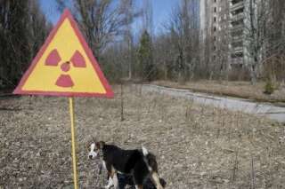 L'accident nucléaire de Tchernobyl a-t-il vraiment créé des mutants?