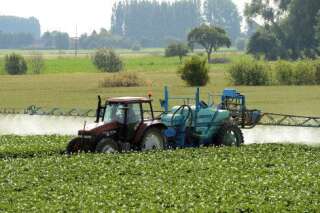 Aides agricoles : La France va devoir rendre un milliard d'euros à l'Union européenne