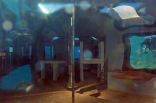 PHOTO - Un bar de pole dance sous-marin oublié
