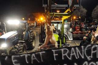 En colère, les éleveurs bretons ont décidé du blocage de la RN12 et attendent Valls