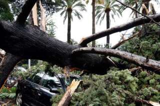 PHOTOS. Orages à Nice: 14.000 foyers privés d'électricité, Christian Estrosi demande l'état de catastrophe naturelle