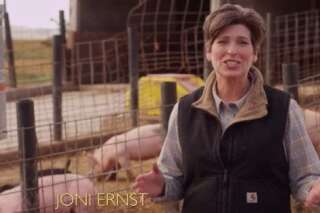 Midterms : Joni Ernst, castreuse de porcs et révélation des élections de mi-mandat aux Etats-Unis