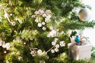 Comment choisir son sapin de Noël pour respecter l'environnement