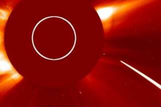 Les images rares d'une comète qui a foncé sur le soleil