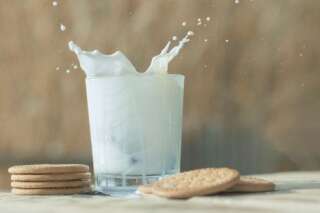 Lait sans lactose : 7 alternatives aux produits laitiers