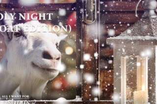 VIDÉOS. Les chansons de Noël interprétées... par des chèvres (pour la bonne cause)