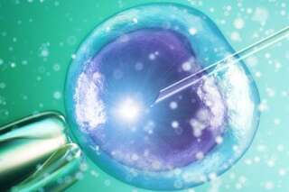 Des embryons humains vont pouvoir être modifiés génétiquement pour la première fois en Grande-Bretagne