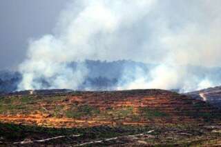 Incendies de forêt en Indonésie, l'huile de palme sous les feux de la rampe