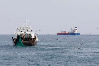 Pêche en eaux profondes : le Parlement européen rejette l'interdiction de ce type de chalutage