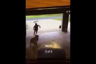 Un enfant surpris en train de courir chez ses voisins pour faire un câlin au chien
