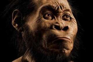 Homo naledi, une ancienne espèce inconnue du genre humain découverte en Afrique du sud