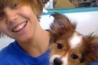 RIP Sammy : le chien de Justin Bieber est mort, les fans multiplient les hommages