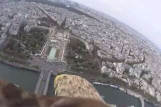 VIDEO. Paris vue du ciel: un aigle survole la ville et filme le résultat
