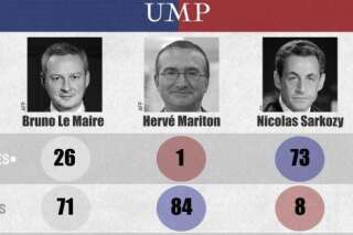 Présidence de l'UMP: Le Maire, Mariton, et Sarkozy, deux David contre un Goliath [INFOGRAPHIE]