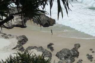 VIDÉO. En Australie, les plages de sable fin transformées en plages de mousse et d'écume