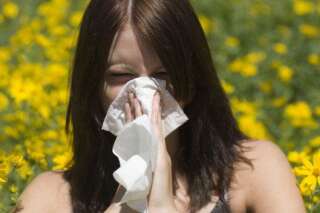 Alerte aux pollens et risque 