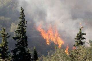 L'incendie dans les Pyrénées-Orientales maîtrisé, 1000 hectares détruits