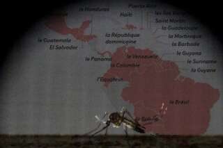 Risques, propagation, localisation... Tout ce qu'il faut savoir sur le virus Zika