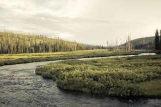 Le Yellowstone National Park en 10 photos