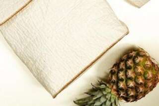 Le Piñatex, le cuir d'ananas, deviendra-t-il une alternative au cuir animal?