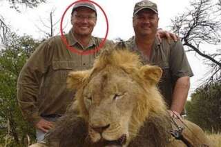 Walter Palmer, le tueur du lion Cecil, ne sera pas poursuivi par le Zimbabwe