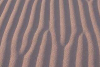 PHOTOS. Pourquoi les dunes et leurs rides ont l'air si parfaites? Des chercheurs français ont réussi résoudre l'énigme