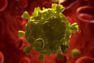 Sida : Un traitement protégeant durablement du VIH, efficace sur des singes, a été mise au point