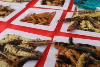 Manger des insectes en France? C'est interdit sur le papier, mais toléré