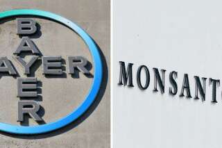 La lettre ouverte de ces chefs stars contre la méga fusion Bayer-Monsanto