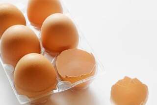 Salmonelle: des œufs Domaine du Pic retirés de la vente en Corrèze, Dordogne, Charente et dans le Lot