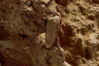 Une dent humaine de 560.000 ans découverte dans les Pyrénées-Orientales