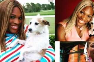 L'hommage de Serena Williams à sa chienne décédée Jackie