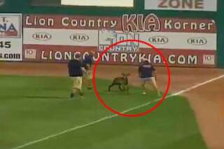 Un mouton interrompt un match de baseball à cause d'un singe cowboy et d'un monstre bleu