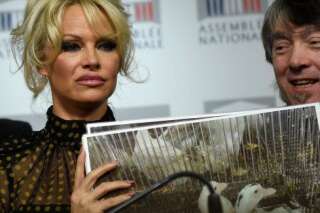 Pamela Anderson à l'Assemblée : les producteurs de foie gras 
