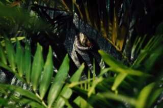 VIDEO. Jurassic World : une nouvelle bande-annonce diffusée lors du Super-Bowl