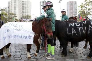 Manifestation de poneys à Paris contre l'équitaxe