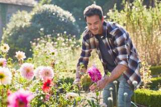10 conseils pour transformer son jardin en petit paradis