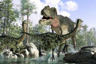 Les dinosaures étaient des animaux à sang tiède plutôt qu'à sang froid selon une étude américaine