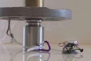 VIDEOS. MicroTugs: comment ce petit robot arrive à porter des charges 35 fois plus lourdes que lui