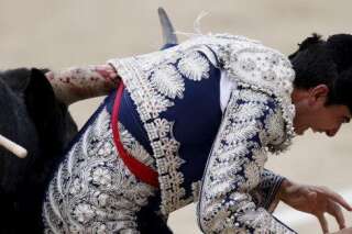 VIDÉO. Marco Galan, un torero gravement blessé aux testicules lors d'une corrida à Madrid