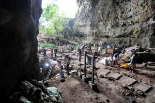 Homo luzonensis, nouvelle espèce humaine découverte aux Philippines