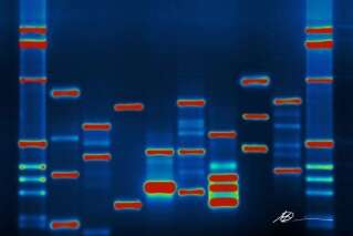 Séquencer l'ADN des donneurs de sperme?