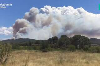 Dans le Vaucluse, près de la Bastidonne, 400 hectares de forêt traversés par un violent incendie