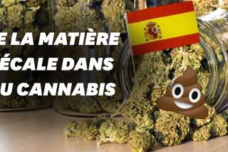 De la matière fécale dans 75 % du cannabis vendu à Madrid