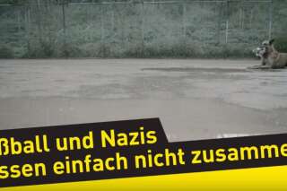 Le Borussia Dortmund publie une vidéo contre le racisme dans les stades (et ça tombe bien)