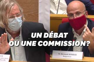 Covid-19: Didier Raoult et un sénateur opposés sur la chloroquine