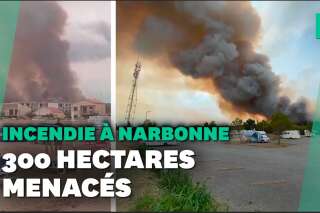 Aude: Un feu de forêt se propage dans le Massif de la Clape près de Narbonne