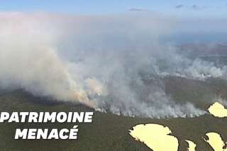 En Australie, les feux ravagent l'île Fraser, classée au patrimoine mondial